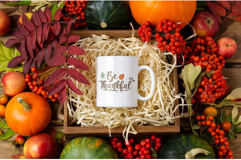Be Thankful SVG, Thanksgiving SVG, Thankful SVG, Quote SVG, Instant download, Cricut cut files